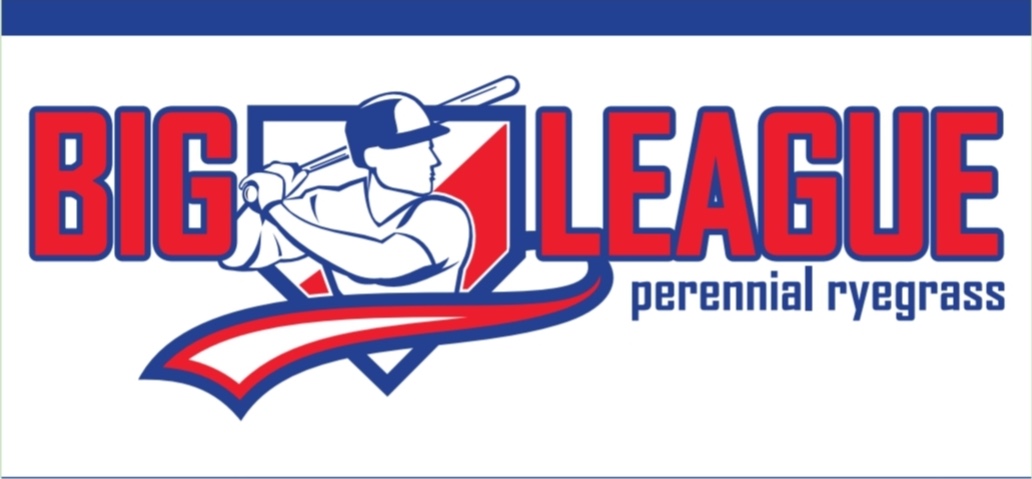 LOLIUM PERENNE - BIG LEAGUE